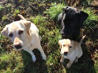 IMG 9044