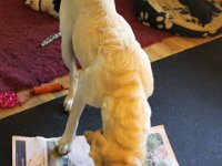 Den gode mor rydder naturligvis op