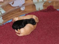 Der soves i klumper